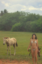 Oro Encantado Bottom - Dodeca